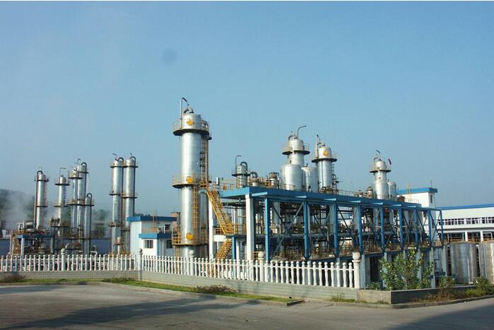 三十強飼料品牌